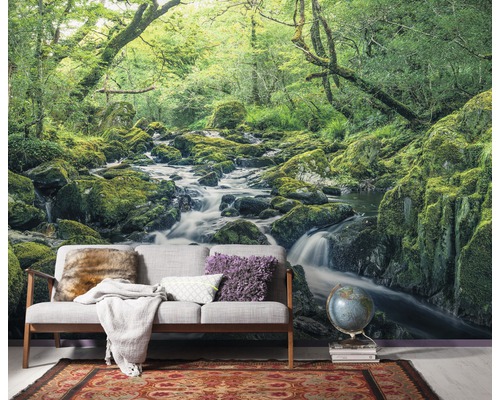 Fototapeta s lesní krajinou, řekou a mechem na kamenech v obývacím pokoji