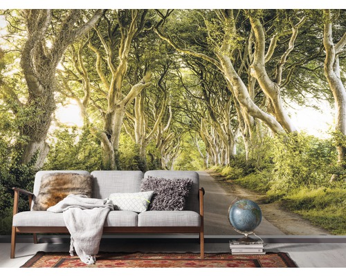 Obývací pokoj s fototapetou s alej stromů