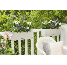 Scéna se dvěma truhlíky na balkonovém zábradlí, osázenými různými květinami