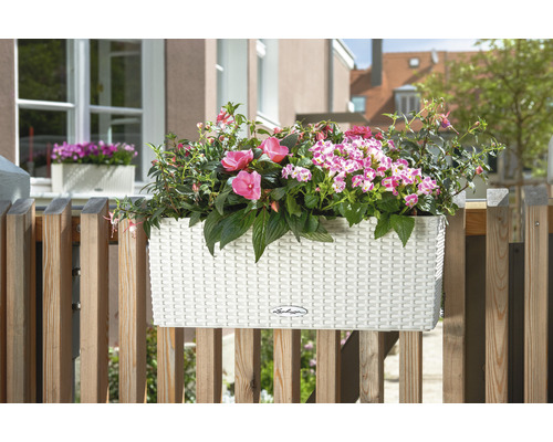 Plastový balkonový truhlík s barevnými květinami na dřevěném balkoně