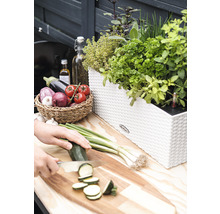 Scéna s bylinkovou zahrádkou v květináči, zeleninou v košíku a osobou krájící cuketu na prkénku