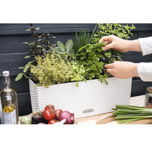 Balkonový truhlík s bylinkami a osobou sklízející petržel