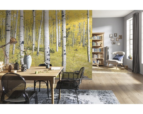 Obývací pokoj s fototapetou březového lesa na podzim, jídelní stůl a knihovna