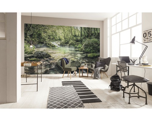 Obývací pokoj s fototapetou lesního potoka, stolní fotbal, křesla, psací stůl a koberce
