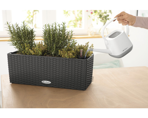 Zavlažování bylinkové zahrádky v černém květináči se zavlažovacím systémem a ukazatelem hladiny vody