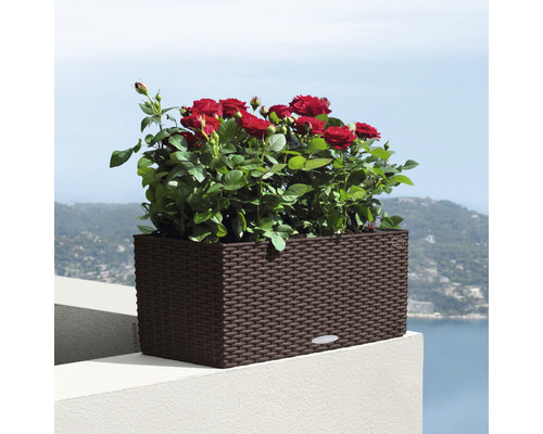 Obdélníkový květináč s červenými růžemi na terase