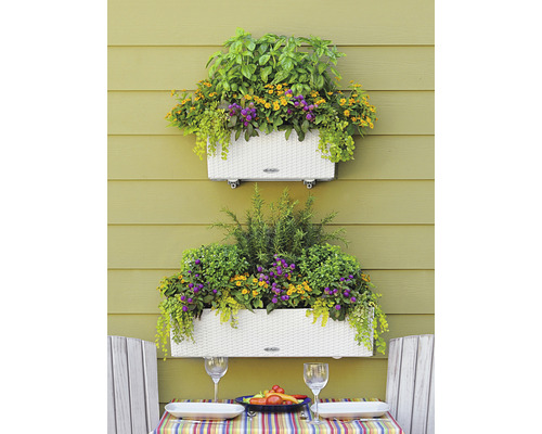 Dva květináče s různými bylinkami a květinami na zdi nad stolem s prostíráním.