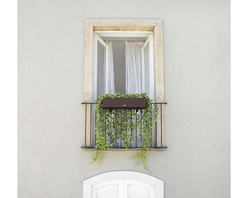 Balkon s truhlíkem a popínavými rostlinami