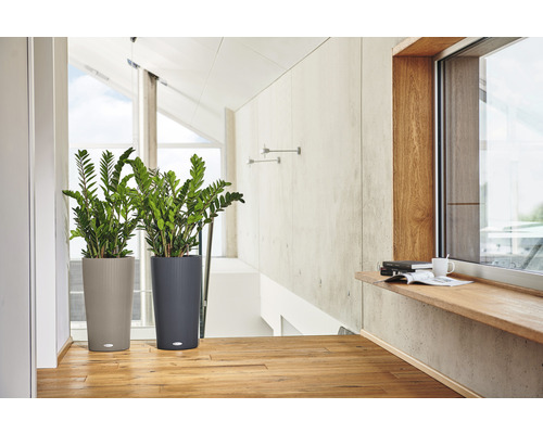 Dvě pokojové rostliny ve strukturovaných květináčích ve světlé místnosti