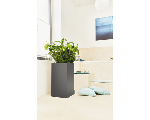 Rostliny ve čtvercové nádobě na rostliny v koupelně