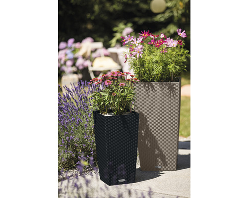 Dva květináče s rostlinami na zahradě.