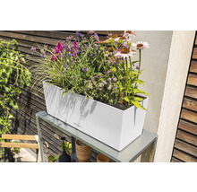 Obdélníkový květináč s různými květinami na kovovém stole