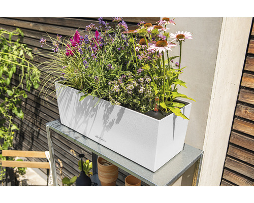 Obdélníkový květináč s různými květinami na kovovém stole