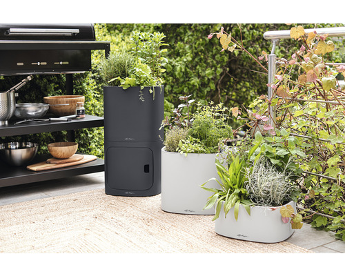 Tři osázené květináče na terase vedle grilu.