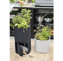 Dva květináče s bylinkami na koberci před venkovní kuchyní.