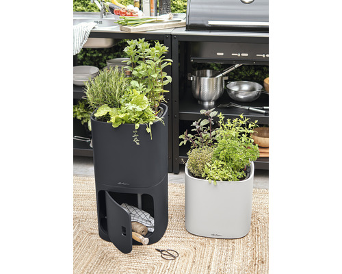 Dva květináče s bylinkami na koberci před venkovní kuchyní.