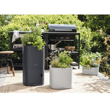 Zahradní aranžmá s bylinkami v květináčích na terase