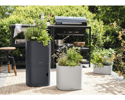 Zahradní aranžmá s bylinkami v květináčích na terase