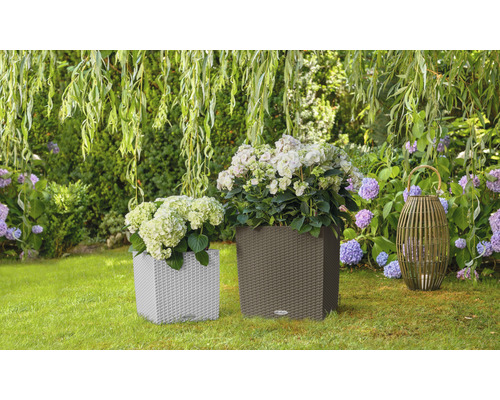 Dva květináče s rostlinami a lucerna na zahradě.