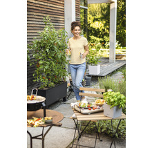 Zahradní scéna s ženou, grilem, stolem, židlemi a květináči s rostlinami rajčat