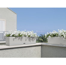 Dva osázené květináče venku