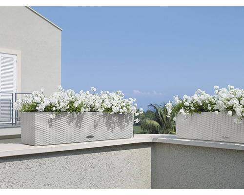 Dva osázené květináče venku