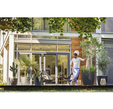 Terasa s různými rostlinami v květináčích před moderním domem.