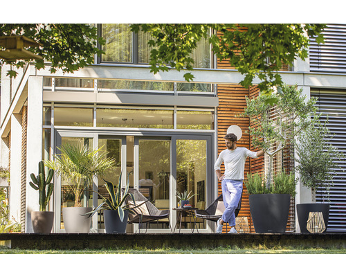 Terasa s různými rostlinami v květináčích před moderním domem.