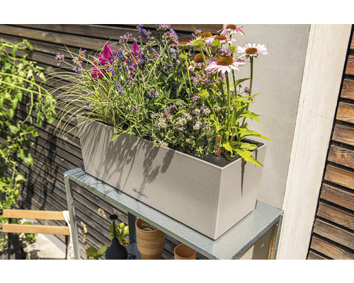 Béžový květináč s různými rostlinami na kovovém rámu v zahradě.