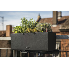 Černý truhlík na květiny s bylinkami k montáži na balkonové zábradlí.