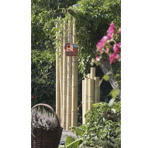 Bambusová trubka Ø 7-8 cm délka 200 cm-thumb-2