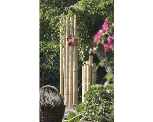 Zahradní scéna s bambusovými tyčemi a ptačí budkou