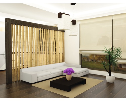 Obývací pokoj s bambusovou dělicí stěnou, pohovkou, stolem, kobercem a pokojovou rostlinou