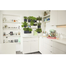 Světlá kuchyně s bylinkovou zahrádkou na zdi a kuchyňským robotem na pracovní desce.