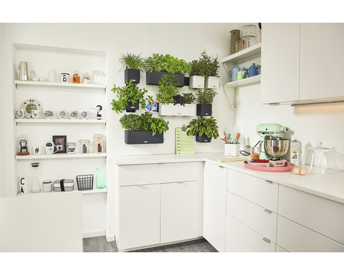 Světlá kuchyně s bylinkovou zahrádkou na zdi a kuchyňským robotem na pracovní desce.