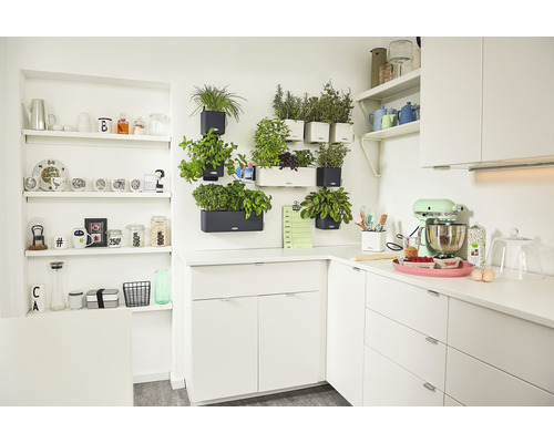 Kuchyňská scéna s bílými kuchyňskými skříňkami, policemi a bylinkami v nástěnných květináčích