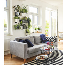 Obývací pokoj s šedou pohovkou, nástěnnými rostlinami a černými drátěnými konferenčními stolky