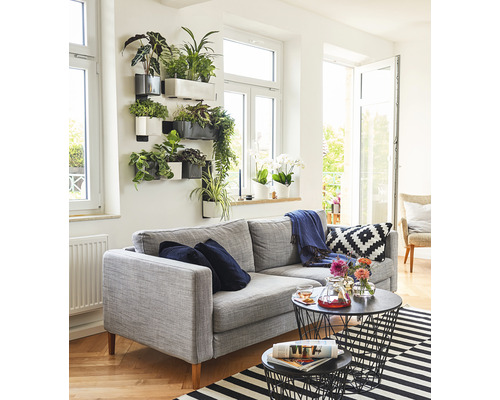 Obývací pokoj s šedou pohovkou, nástěnnými rostlinami a černými drátěnými konferenčními stolky