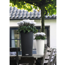 Dva květináče s květinami na dřevěném stole venku