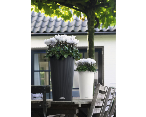 Dva květináče s květinami na dřevěném stole venku