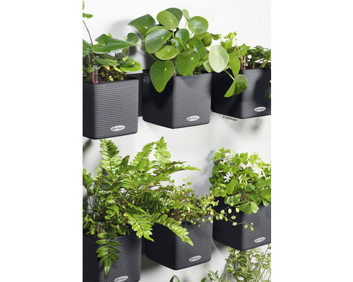 Nástěnné osázení s různými rostlinami v šedých strukturovaných květináčích