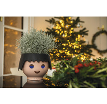 Dekorativní pokojová rostlina v květináči ve tvaru dítěte před vánočním stromkem