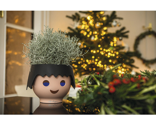 Dekorativní pokojová rostlina v květináči ve tvaru dítěte před vánočním stromkem