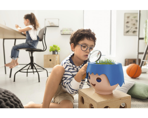 Chlapec si prohlíží rostlinu v květináči lupou v dětském pokoji.