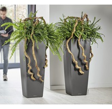 Dva vysoké květináče s kapradinami a okrasnými větvemi v interiéru.