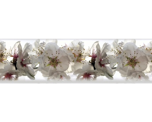 Detailní záběr bílých květů