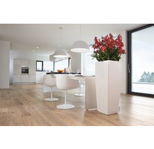 Světlý interiér s kuchyní, jídelním stolem, židlemi, svítidly a vysokým bílým květináčem s červenými květy