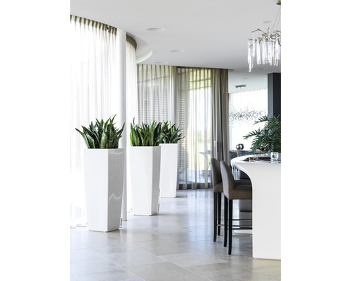 Světlý, moderní interiérový design s rostlinami v květináčích