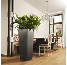 Vysoký plastový květináč s pokojovou rostlinou ve světlé místnosti