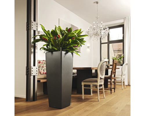 Vysoký plastový květináč s pokojovou rostlinou ve světlé místnosti